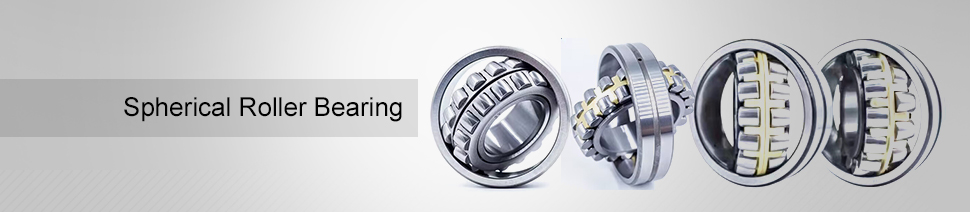 Spherical Roller Bearing